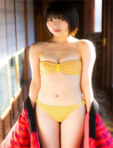 雪山飞狐