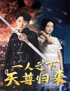 座头市与独臂刀