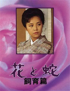 与鲨同游 第一季