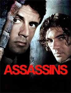 一条叫王子的狗