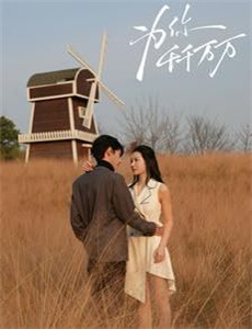 喵星人的奇思妙想