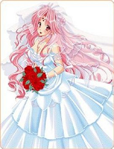 十二道锋味 第五季