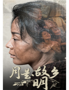 墙里的女人 第一季