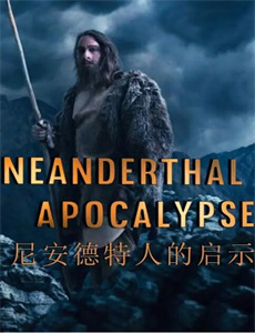 舒克和贝塔之不打不相识