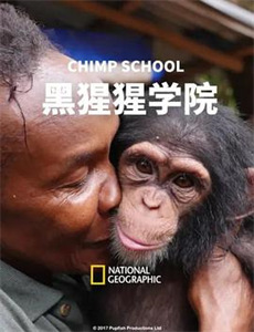 病相大人请自重盛世红妆