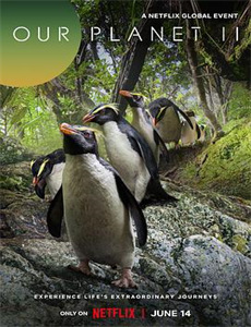 觉醒:六个梦中惊醒的恐怖故事